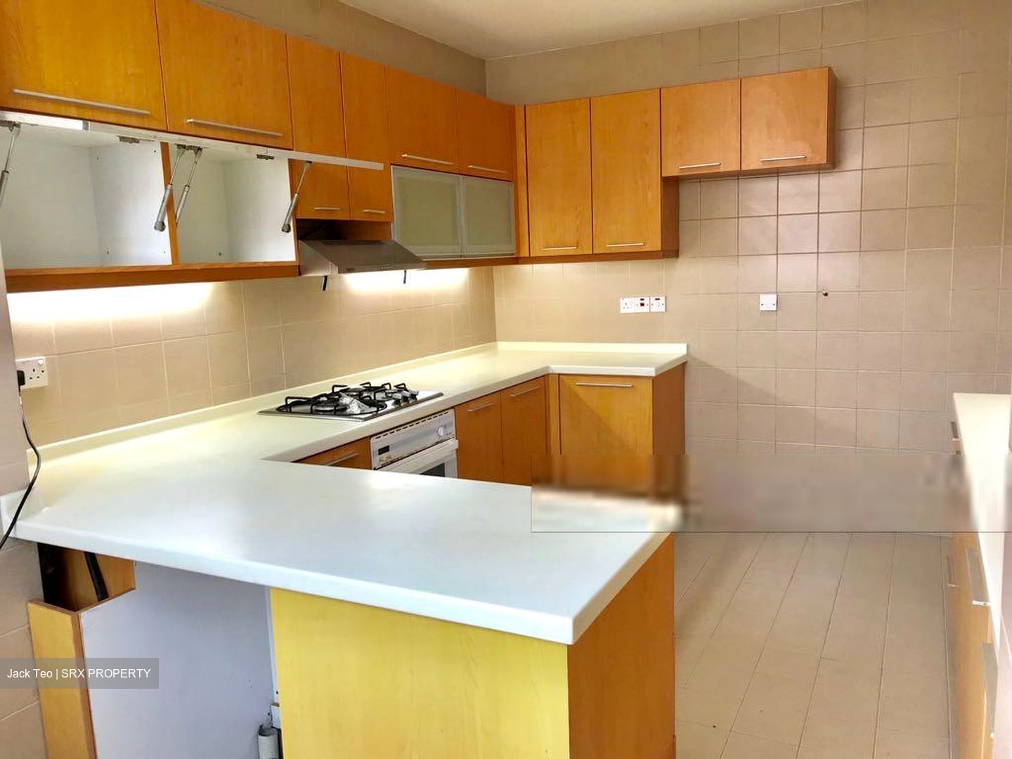 Sommerville Park (D10), Condominium #635042141